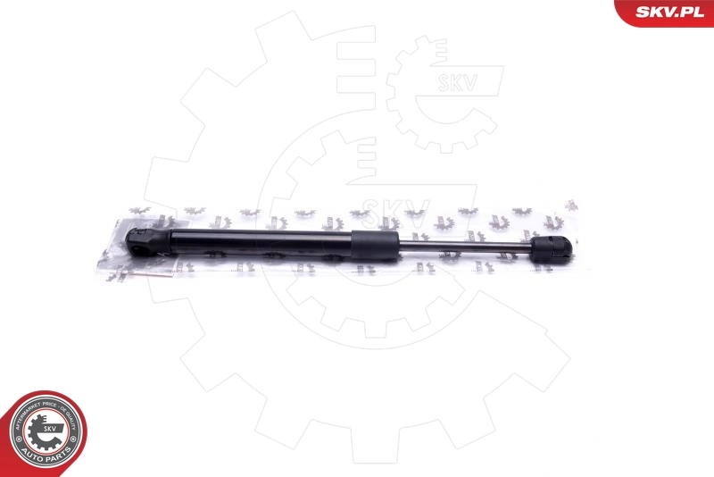 Gas Spring, boot/cargo area